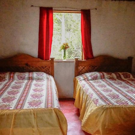 Cabanas Tonina Kayab Ocosingo Exteriör bild