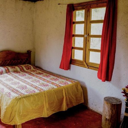 Cabanas Tonina Kayab Ocosingo Exteriör bild