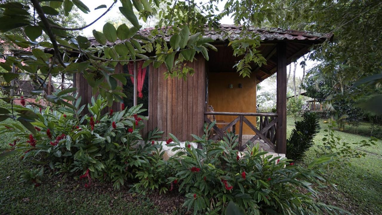 Cabanas Tonina Kayab Ocosingo Exteriör bild