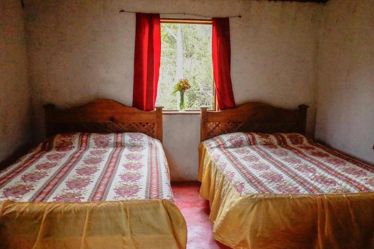 Cabanas Tonina Kayab Ocosingo Exteriör bild