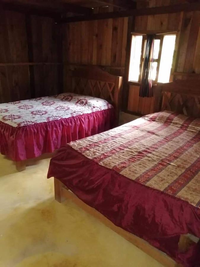 Cabanas Tonina Kayab Ocosingo Exteriör bild