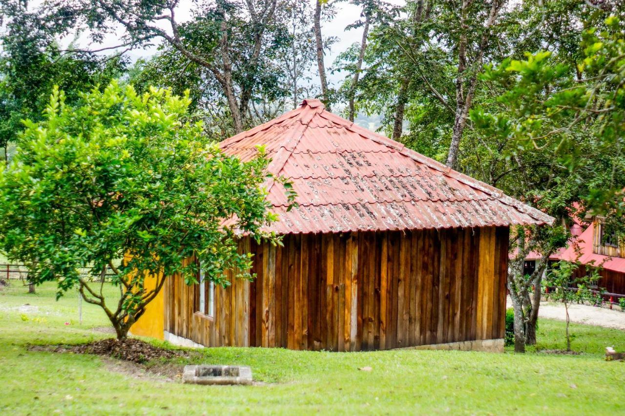 Cabanas Tonina Kayab Ocosingo Exteriör bild