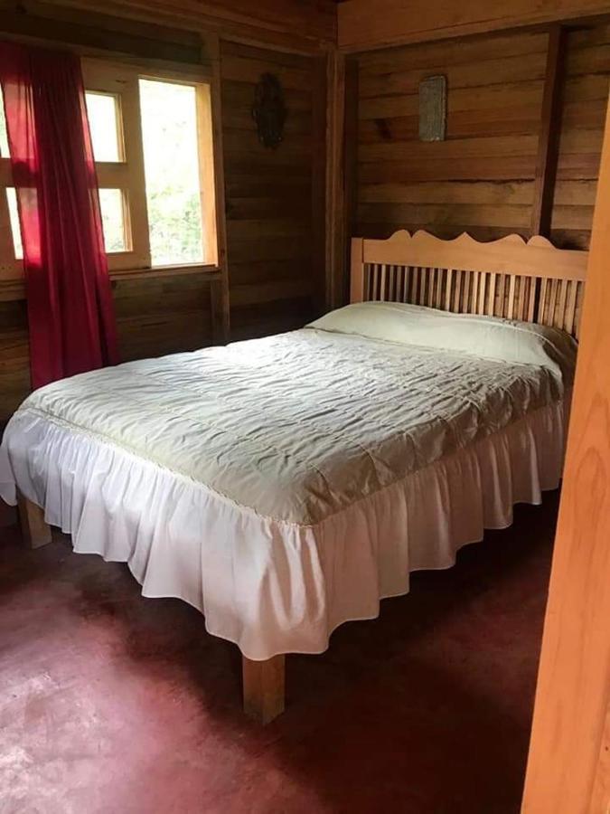 Cabanas Tonina Kayab Ocosingo Exteriör bild